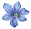 PSD精美花纹_12psd模版下载