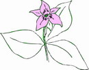 花朵鲜花_769eps,ai矢量模版下载