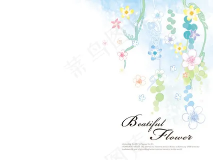 花朵花藤插画 花朵花藤插画