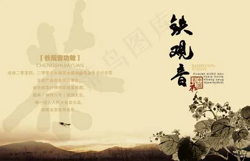 铁观音功效画册