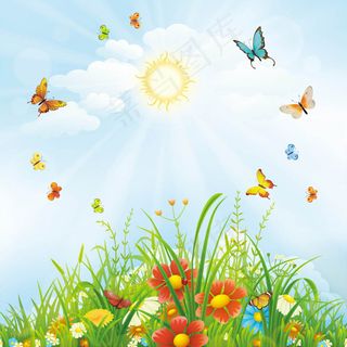 阳光下的花和蝴蝶