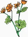 花朵鲜花_259eps,ai矢量模版下载