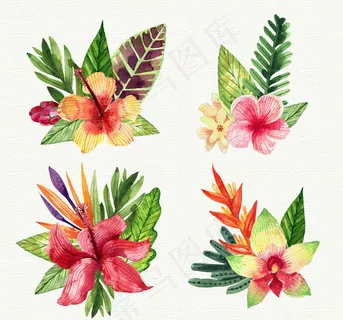 热带花卉和叶子 热带花卉和叶子