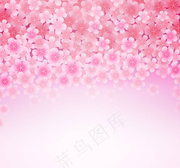 樱花花朵背景ai矢量模版下载