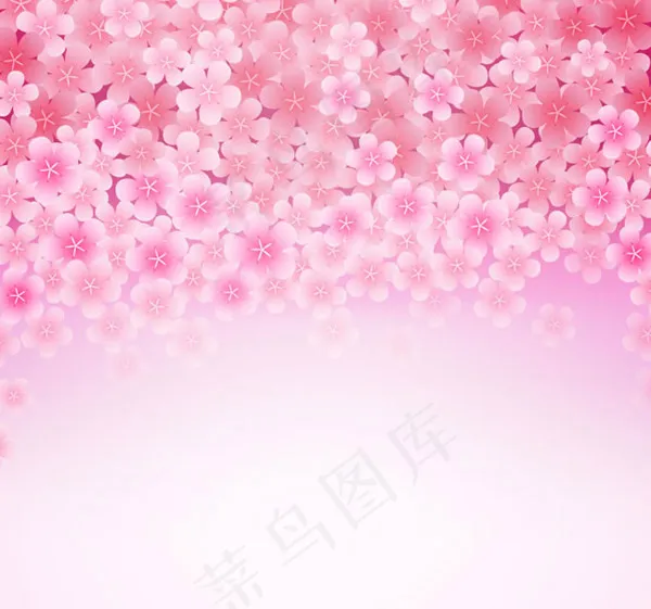 樱花花朵背景ai矢量模版下载