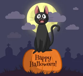 万圣节黑猫