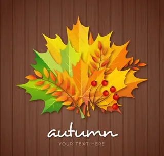 彩色秋季树叶花束