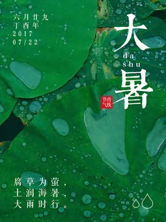荷叶大暑节气海报