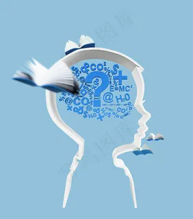 大脑智力开发元素 大脑智力开发元素