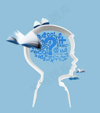 大脑智力开发元素