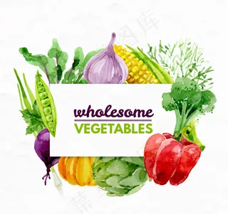 水彩绘健康蔬菜