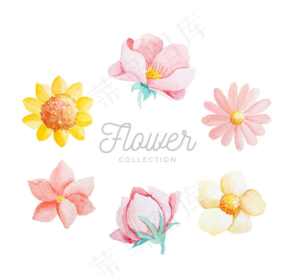 水彩绘花朵设计