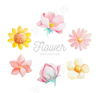 水彩绘花朵设计 水彩绘花朵设计
