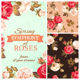 玫瑰花花朵背景