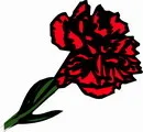 花朵鲜花_724eps,ai矢量模版下载