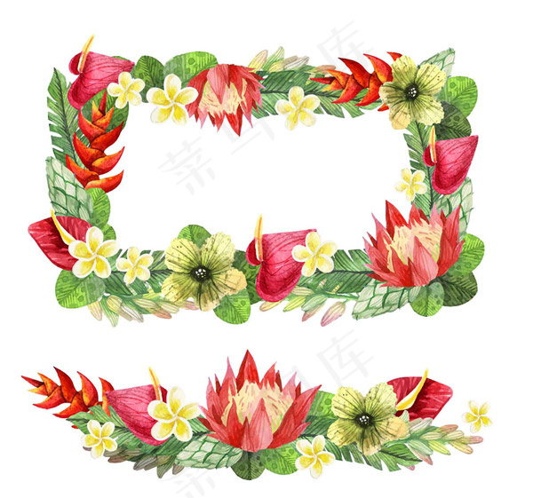 热带花卉框架