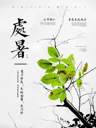 清新处暑节气海报