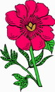 花朵鲜花_137eps,ai矢量模版下载