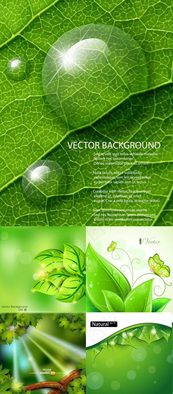 绿色植物设计eps,ai矢量模版下载
