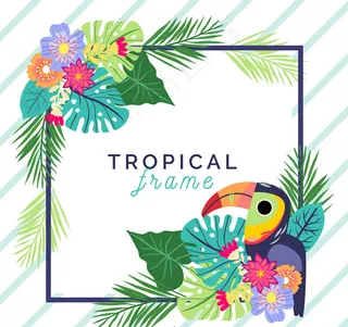 花卉和巨嘴鸟框架