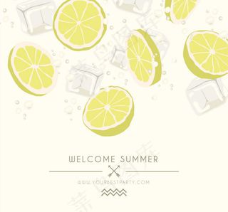 柠檬切片和冰块