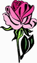 花朵鲜花_717eps,ai矢量模版下载
