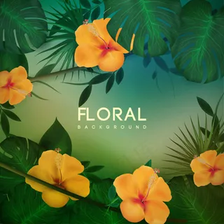 热带花朵边框 热带花朵边框