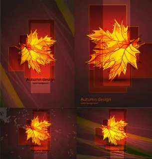 炫光枫叶矢量
