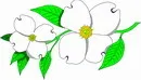 花朵鲜花_473eps,ai矢量模版下载