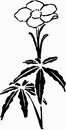 花朵鲜花_1186eps,ai矢量模版下载