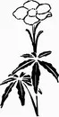 花朵鲜花_1186eps,ai矢量模版下载