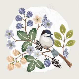 唯美手绘花鸟插画