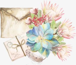 明信片鲜花多肉