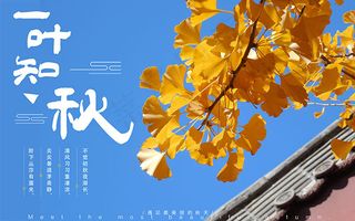 一叶而知秋海报