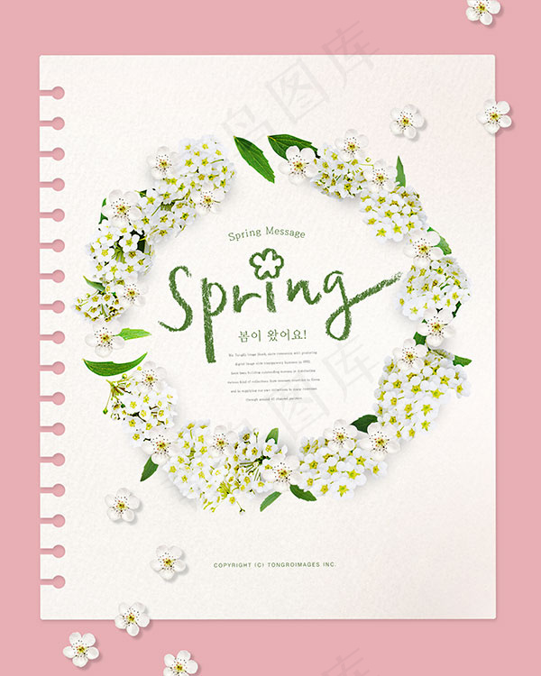 韩式春季花朵海报