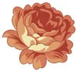 PSD精美花纹_3psd模版下载
