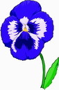 花朵鲜花_556eps,ai矢量模版下载