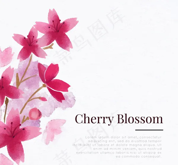 美丽樱花花枝ai矢量模版下载
