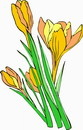 花朵鲜花_427eps,ai矢量模版下载