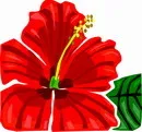花朵鲜花_528eps,ai矢量模版下载