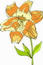 花朵鲜花_184eps,ai矢量模版下载
