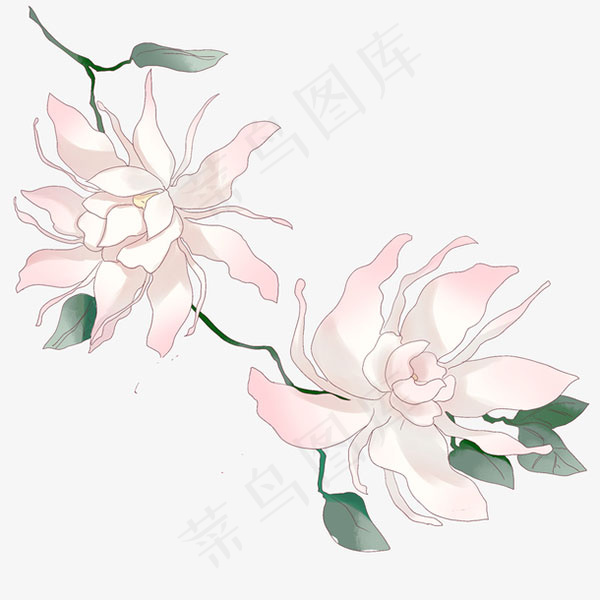 清新小花卡通插画