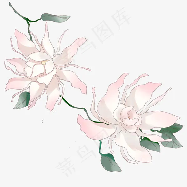 清新小花卡通插画