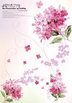 矢量花朵_4ai矢量模版下载