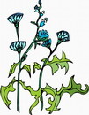 花朵鲜花_258eps,ai矢量模版下载