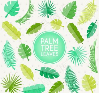 绿色棕榈树叶
