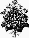 花朵鲜花_1093eps,ai矢量模版下载