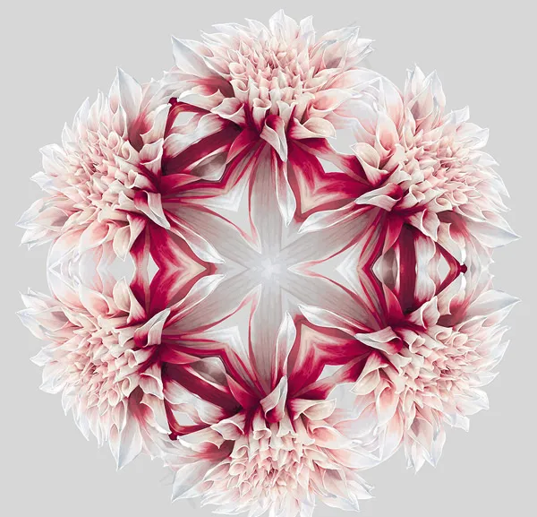 圆形花朵矢量eps,ai矢量模版下载