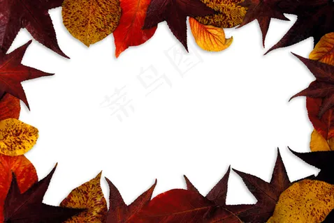 树叶素材边框01