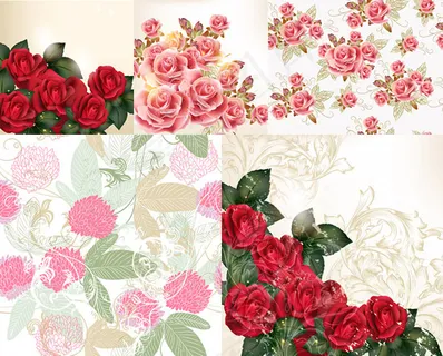 盛开玫瑰花矢量